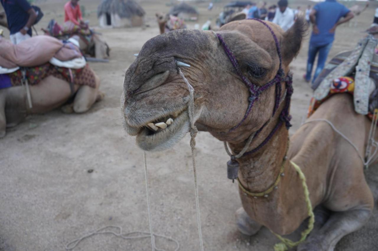 Journey Desert Camp Jaisalmer Luaran gambar