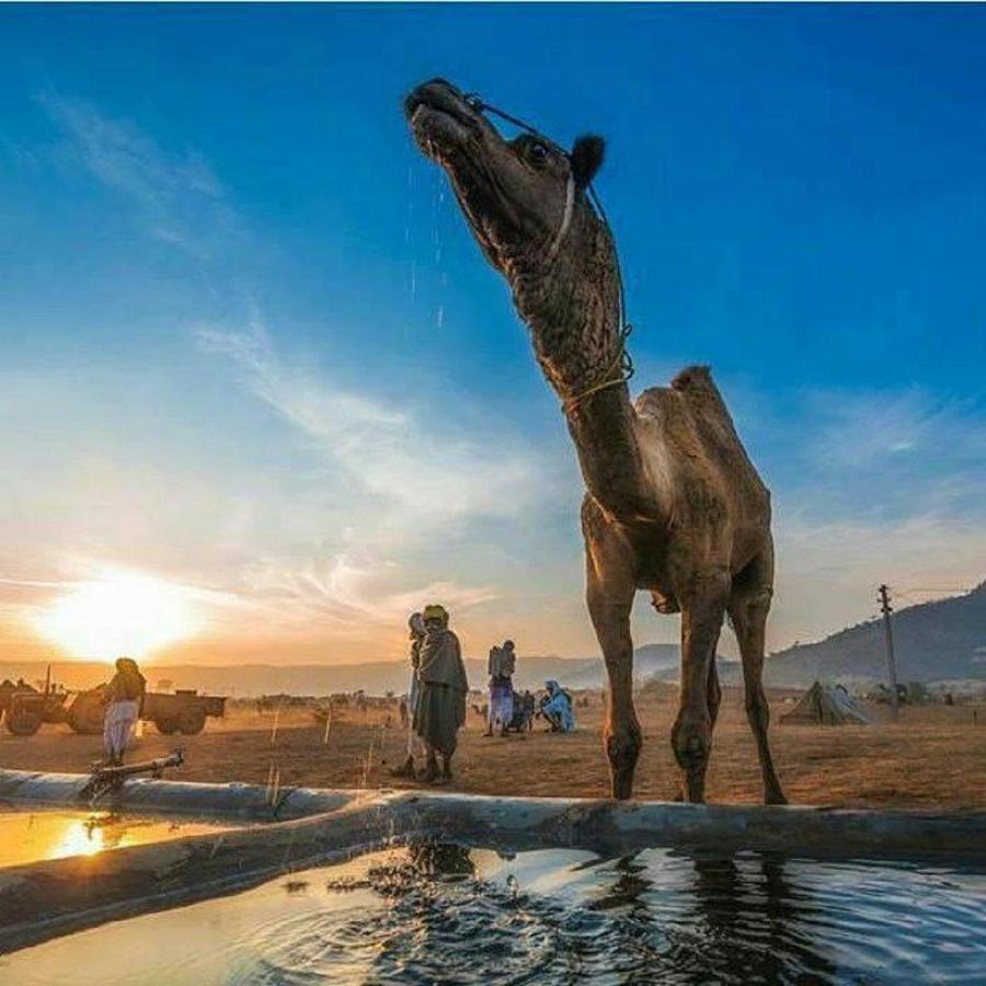 Journey Desert Camp Jaisalmer Luaran gambar
